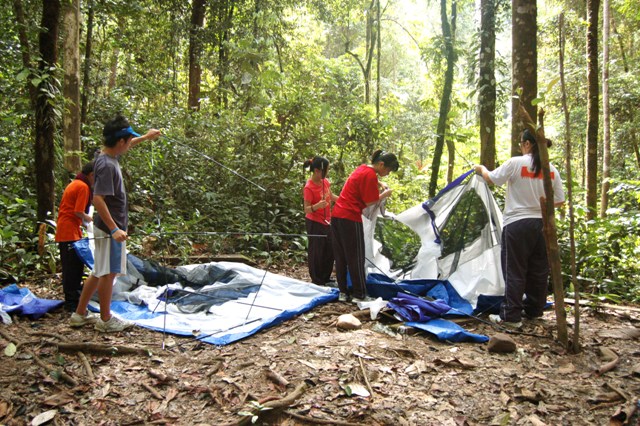 DSC_4246.JPG